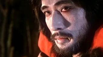 僵尸在线观看,在线惊悚之旅  第3张